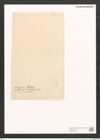 Nitzschia insignis Greg. (de-Toni-Nr.: Genus 47, Species 2074) Zeichnungen Sammlung Grunow (NHMW-BOT-W0371945)